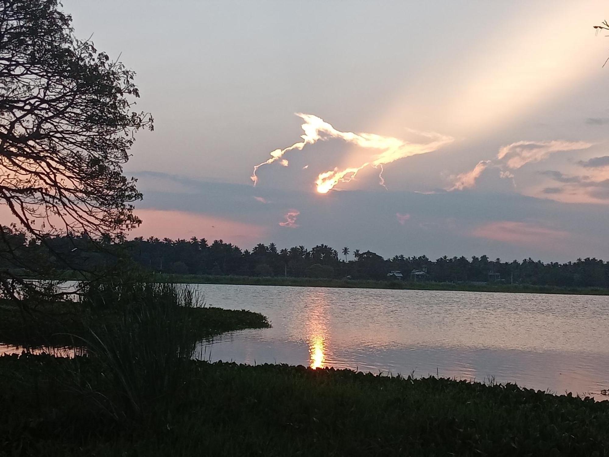 Hotel Tissa Rainbow Guest & Yala Tissamaharama Zewnętrze zdjęcie