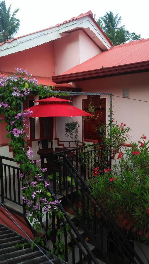 Hotel Tissa Rainbow Guest & Yala Tissamaharama Zewnętrze zdjęcie