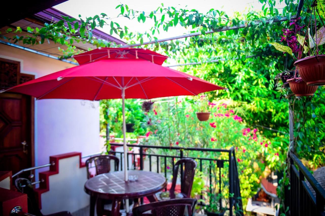 Hotel Tissa Rainbow Guest & Yala Tissamaharama Zewnętrze zdjęcie